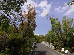 -同里国家湿地公园