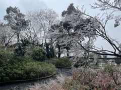 -临平公园(临平街道)