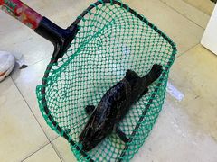 -鑫鸿达·海鲜闽菜热炒小馆(中山路店)