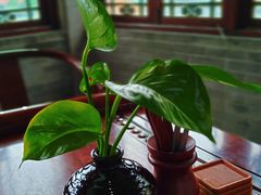 -东江渔村·古典园林·30年粤菜老字号(太和店)