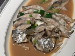 -隆荟•台州菜•粤菜