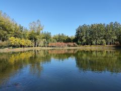 -仁和公园(顺义区)