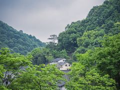 -龙井村