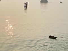 -杭州西湖银泰百货