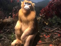 -陕西自然博物馆