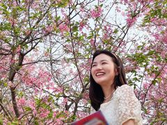 -天适樱花悠乐园
