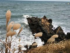 -龙头岩(Dragon Head Rock)