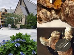 -Pain des Philosophes