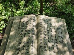 -茅兰沟国家森林公园