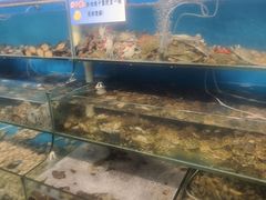 -仙螺岛海鲜自助餐厅(总店)