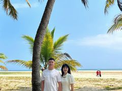 -东郊椰林
