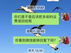 -杨记乳扇·雕梅