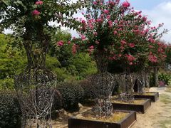 -武汉紫薇都市田园