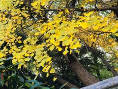 -汇龙潭