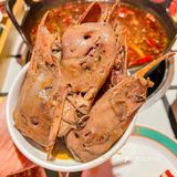 来双井总要见面吃饭和想我一次吧？