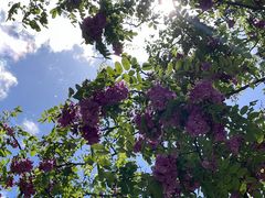 -鹫峰国家森林公园