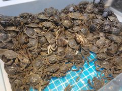-集品鲜湾·蒸汽海鲜自助料理(青岛银座和谐广场店)