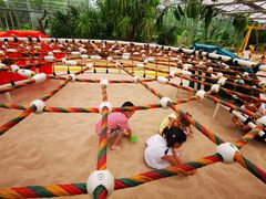 游乐设施-南宫五洲植物乐园