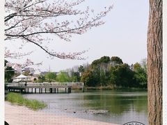 -新江湾城公园