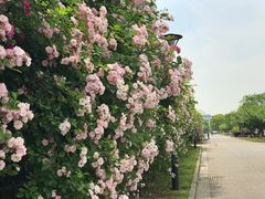 -江南大学(蠡湖校区)
