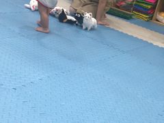 -星空布洛早教·托育(滨江店)