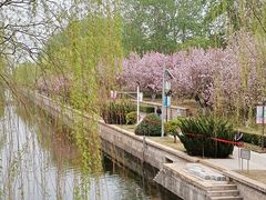 -元大都城垣遗址公园