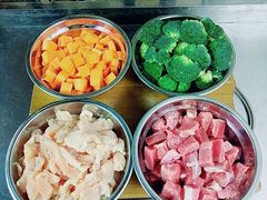 -宠物之家Pets Home 宠物寄养酒店