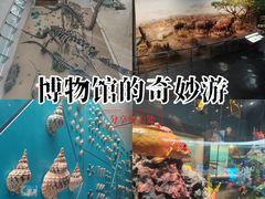 -天津自然博物馆