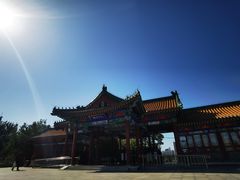 -莲花池公园