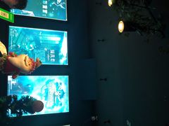 -S Team剧情密室(杭州龙翔桥店)