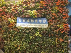 -春熙路步行街