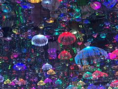 -上海梵高星空艺术馆(南京路旗舰店)