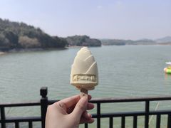 -天目湖山水园