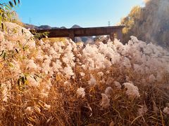 -碓臼峪自然风景区