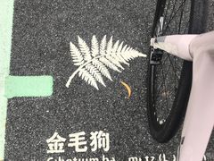 -火炉山森林公园
