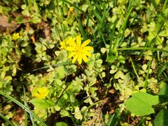 -成都市活水公园