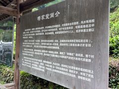 -杨家堂村
