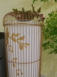 -变美丽半永久纹眉连锁·机器野生眉•洗眉