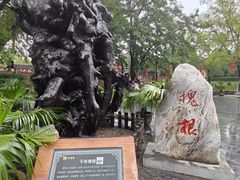 -大槐树寻根祭祖园