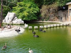 -昆明动物园