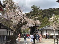 -有栖山 清光院 清水寺