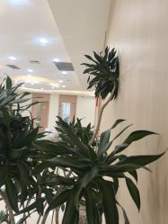 -上海伊莱美医疗美容医院