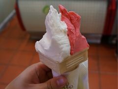 柠檬口味-柠檬车露(卖草地店)