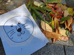 -白塘生态植物园