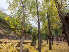 -蟠龙山长城景区