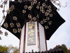 -上海佘山国家森林公园天马山园