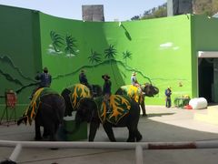 -大连森林动物园