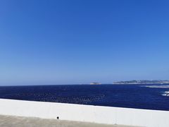 -枸杞岛