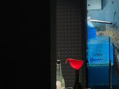 -毛辣果·酸