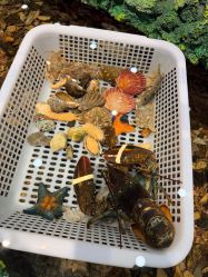 -钓虾工场·钓虾·赶海(回龙观店)